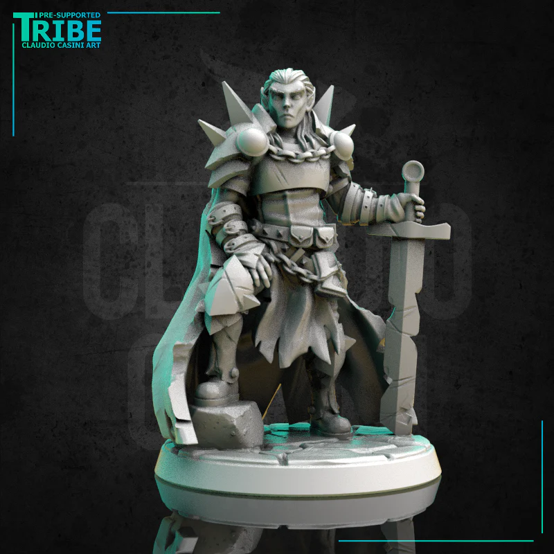 (0286) Male human elf half orc tiefling firbolg paladin warrior cleric with a plate armor and sword - Image 2