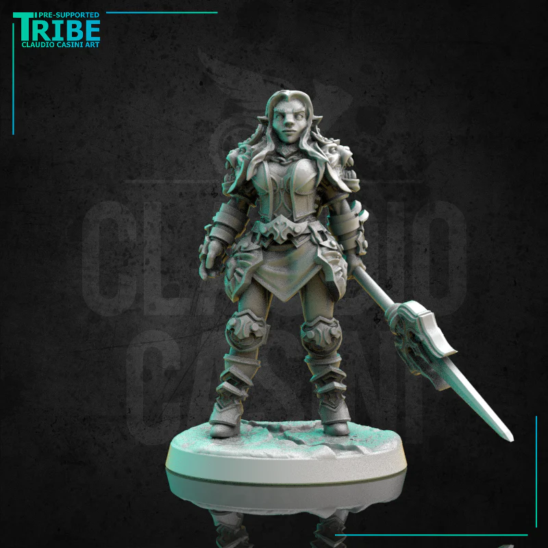 (0300) Female human elf tiefling half-orc firbolg warrior fighter woman with spear and a complete armor