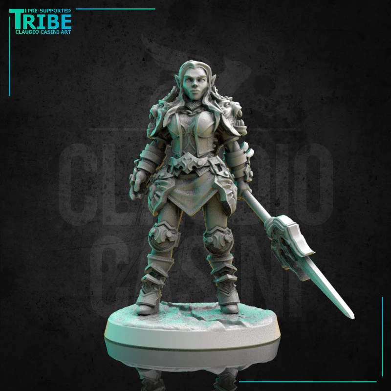 (0300) Female human elf tiefling half-orc firbolg warrior fighter woman with spear and a complete armor - Image 4