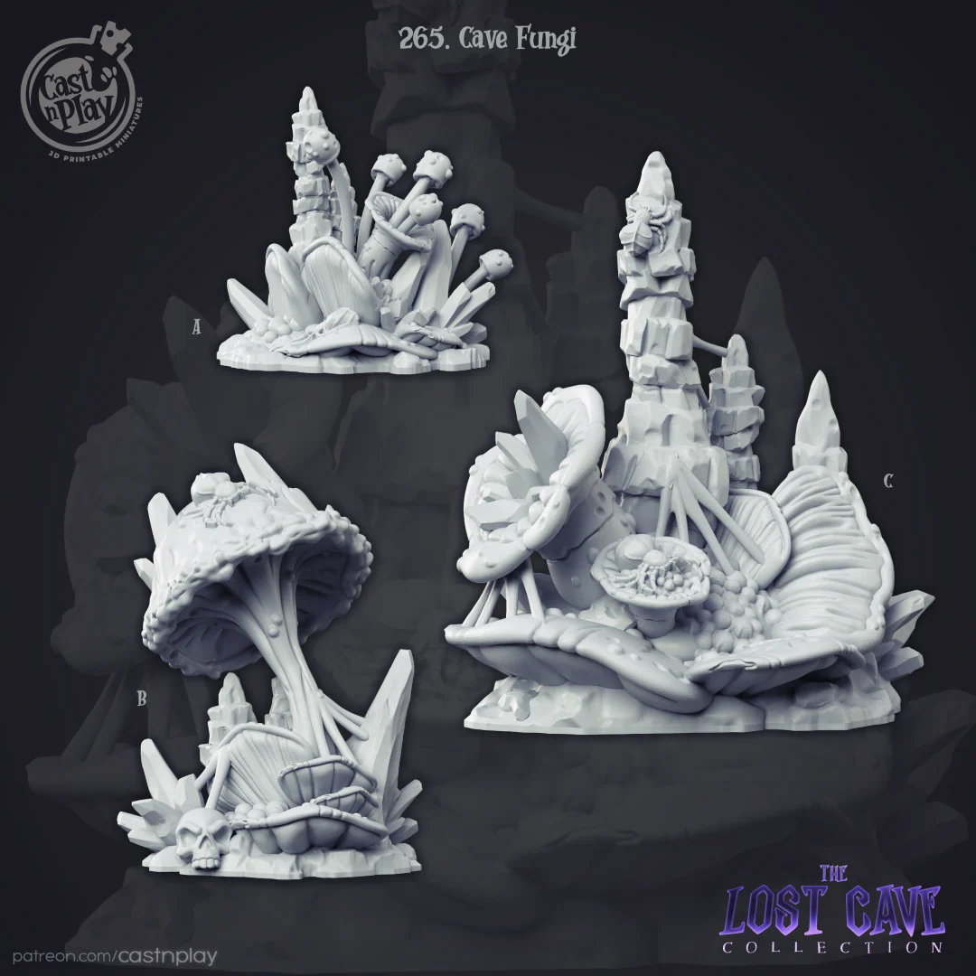 Cave Fungi