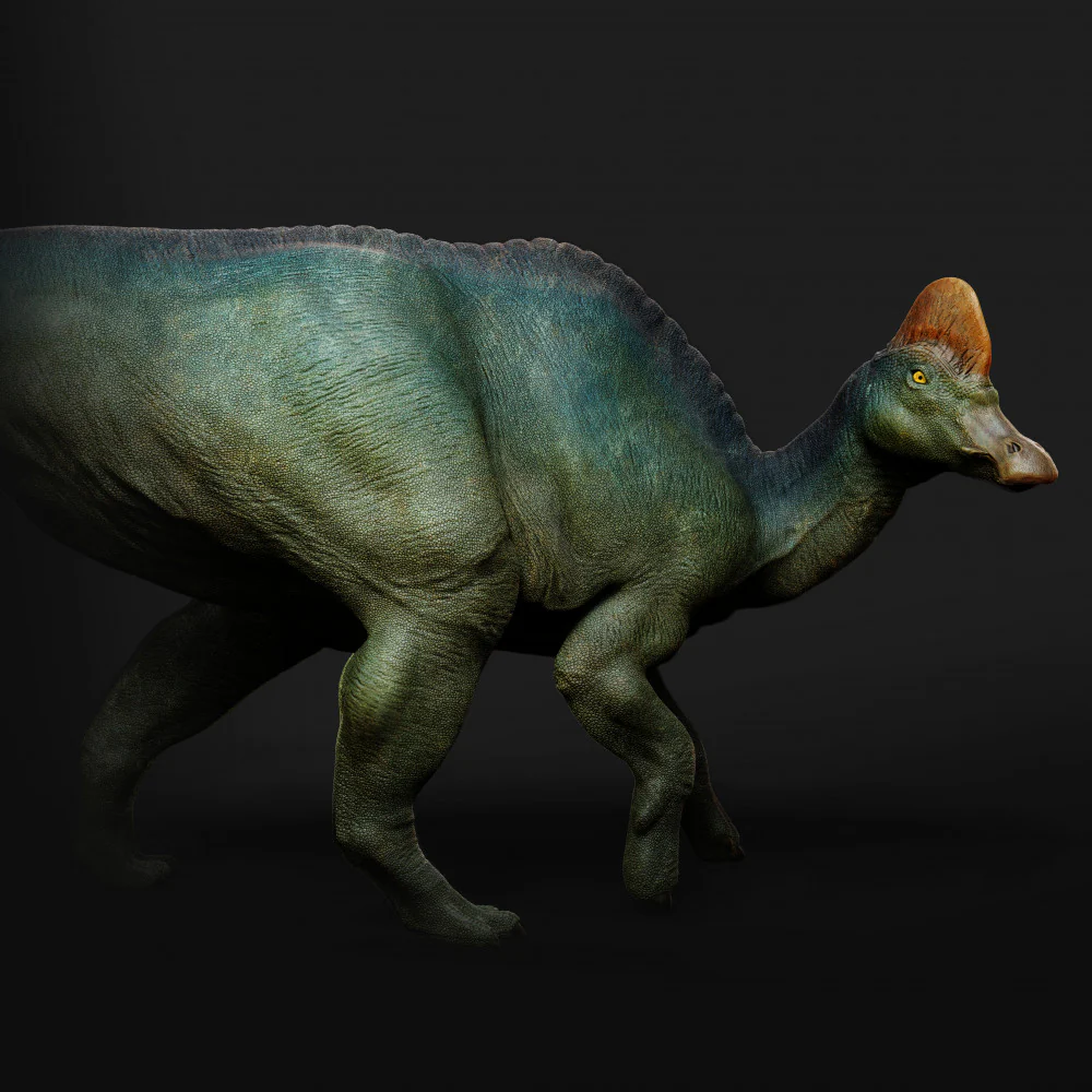 Corythosaurus walking 1-35 scale dinosaur