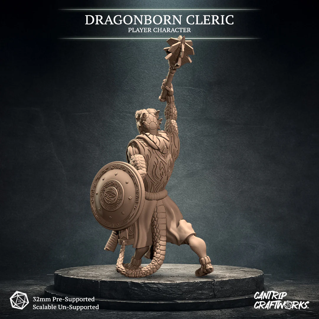 Dragonborn Cleric - Image 2