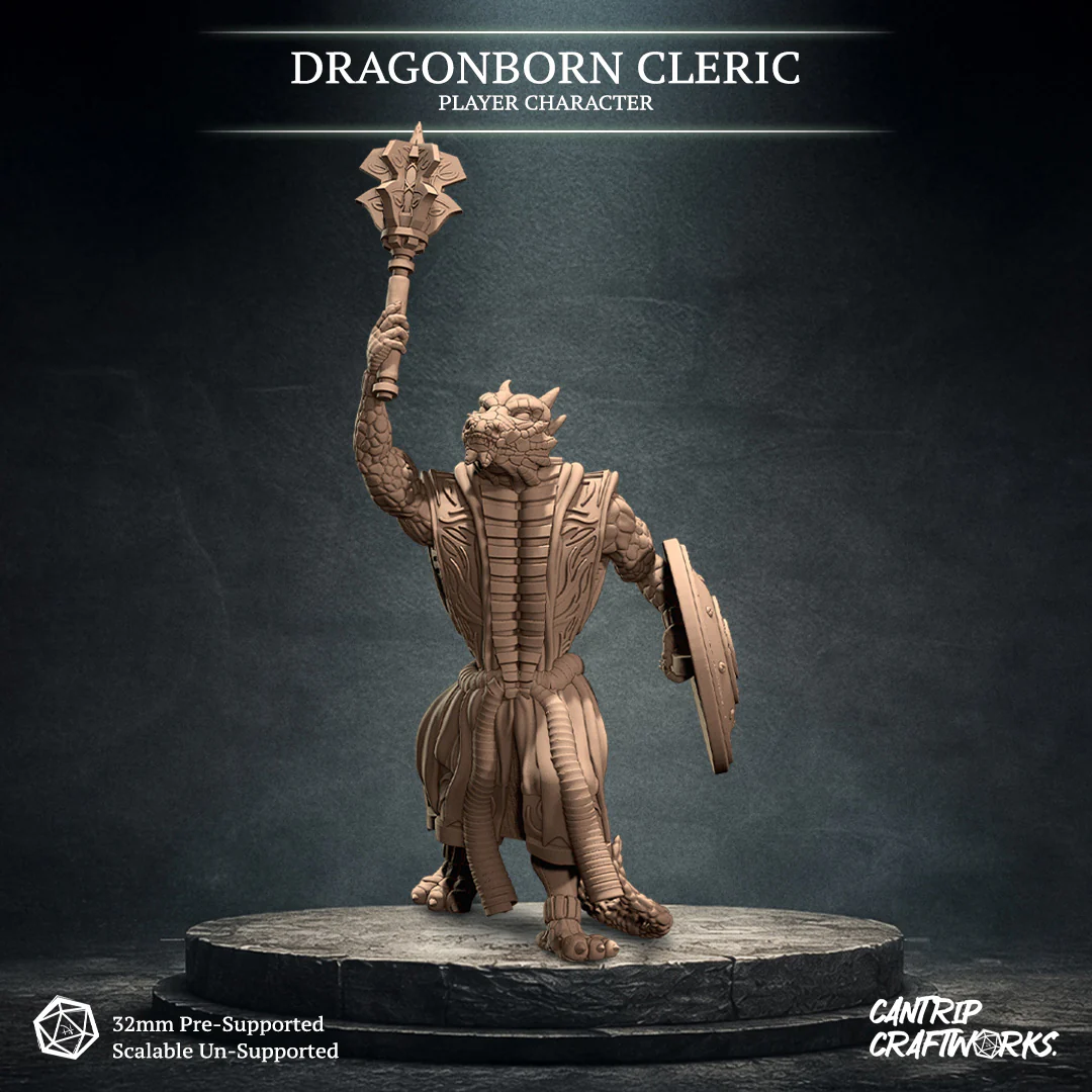 Dragonborn Cleric - Image 3