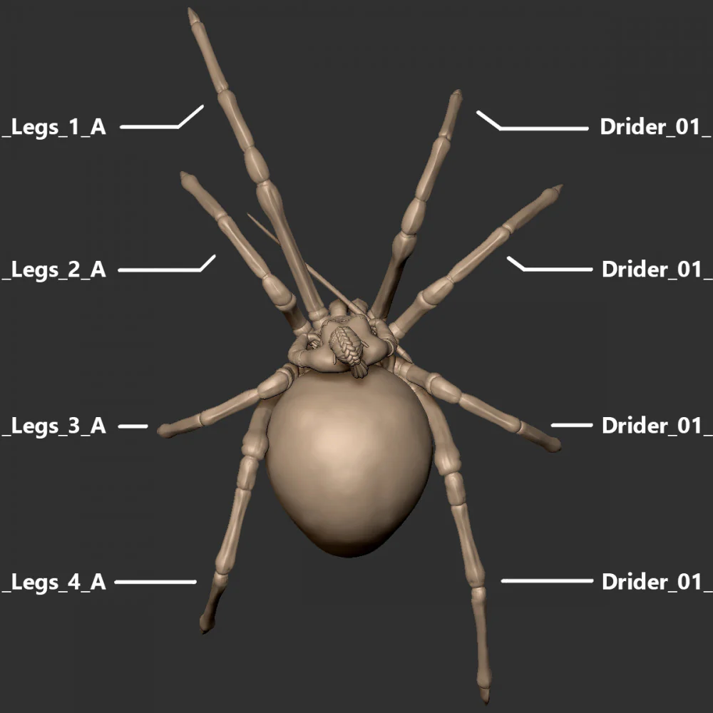 Drider - Tabletop Miniature - Image 2