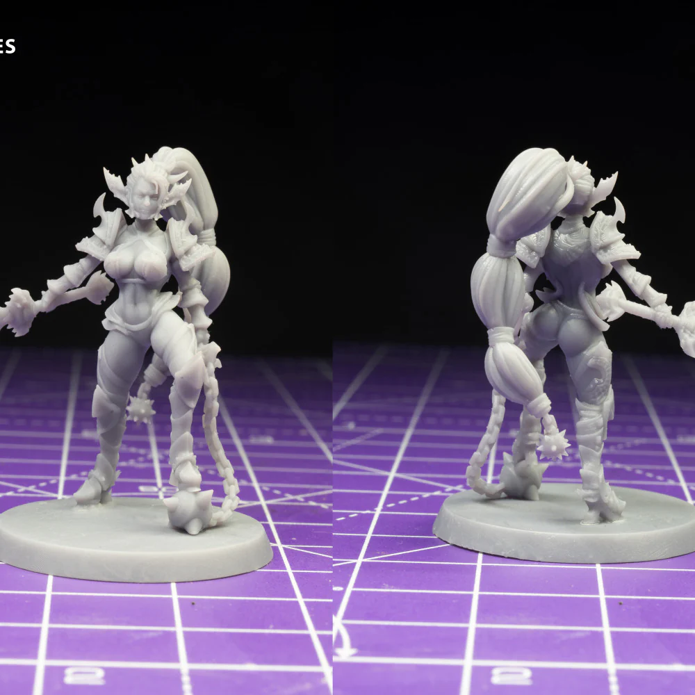 Drow Legionnaire Pose 1 - Image 2