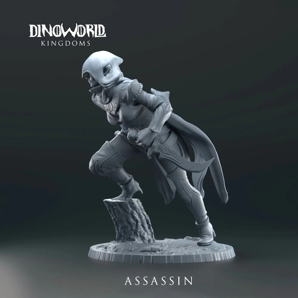 Elf assassin