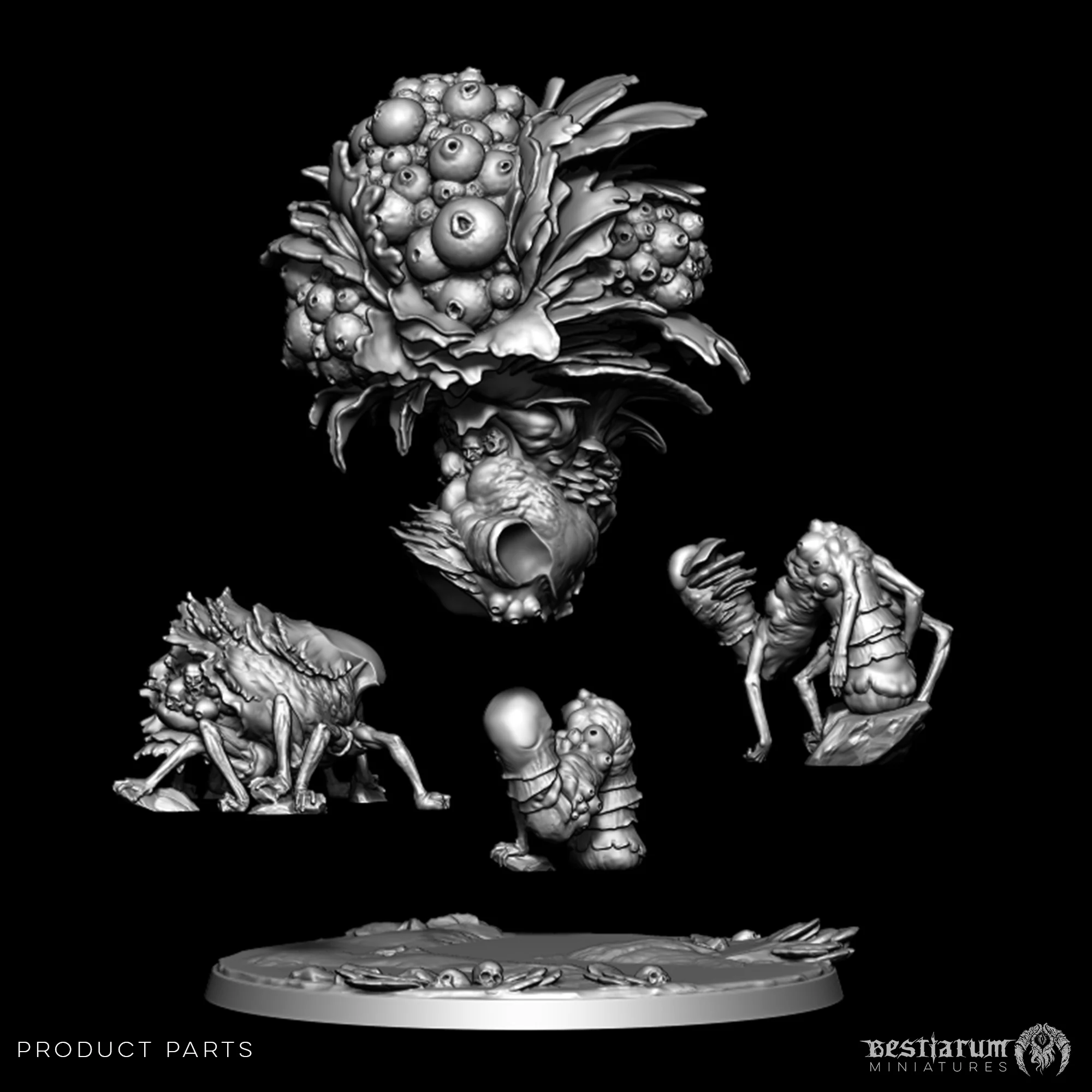 Fruiting Body - Image 6