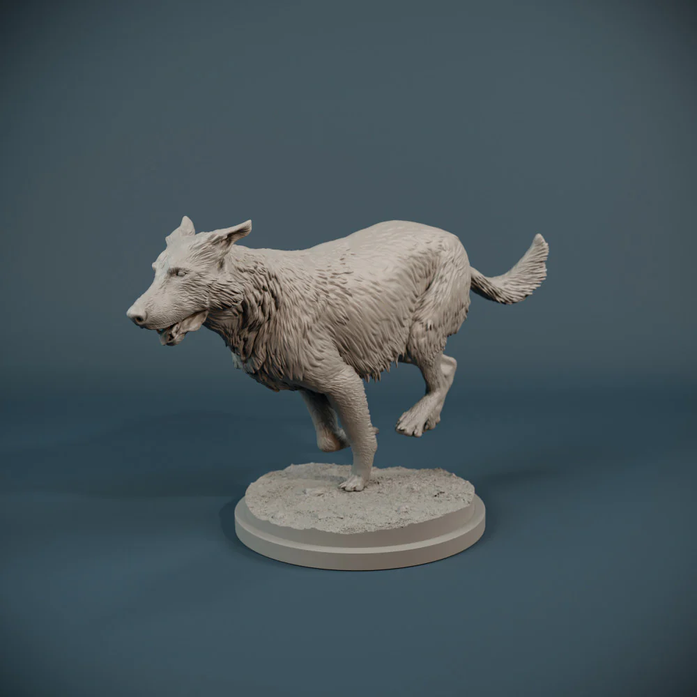 German Shepherd dog running - Image 3