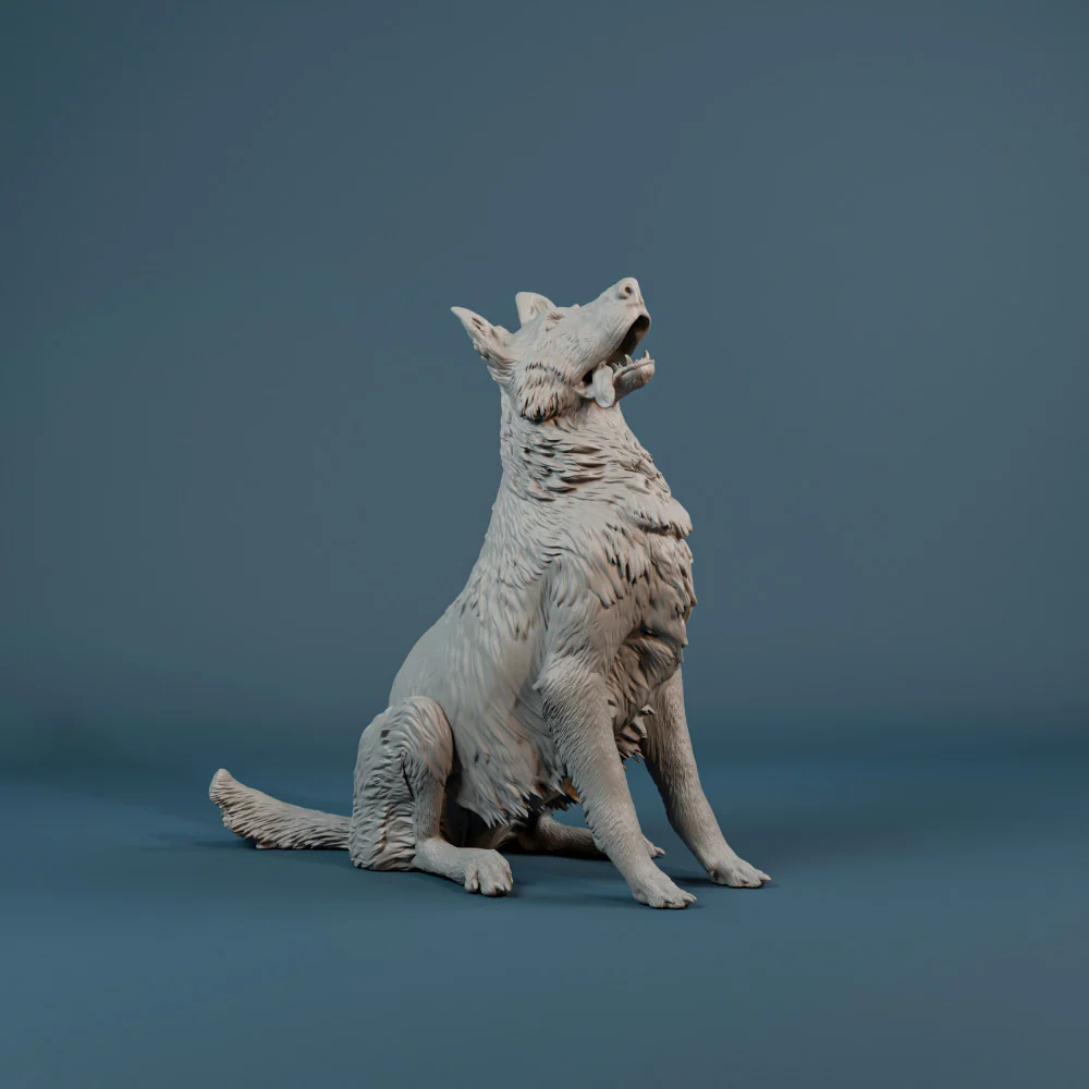German Shepherd dog sitting