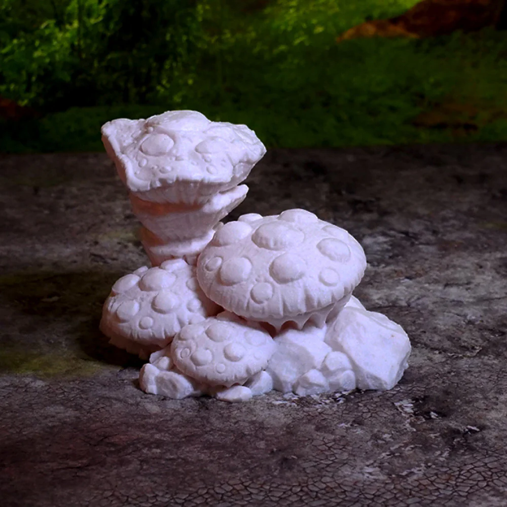 Giant fungus - Image 2