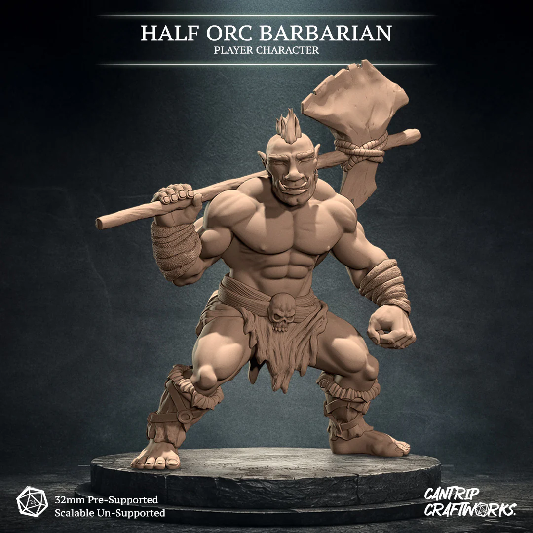 Half-Orc Barbarian