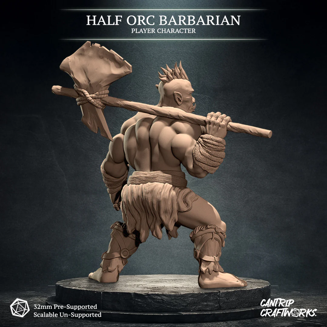 Half-Orc Barbarian - Image 2