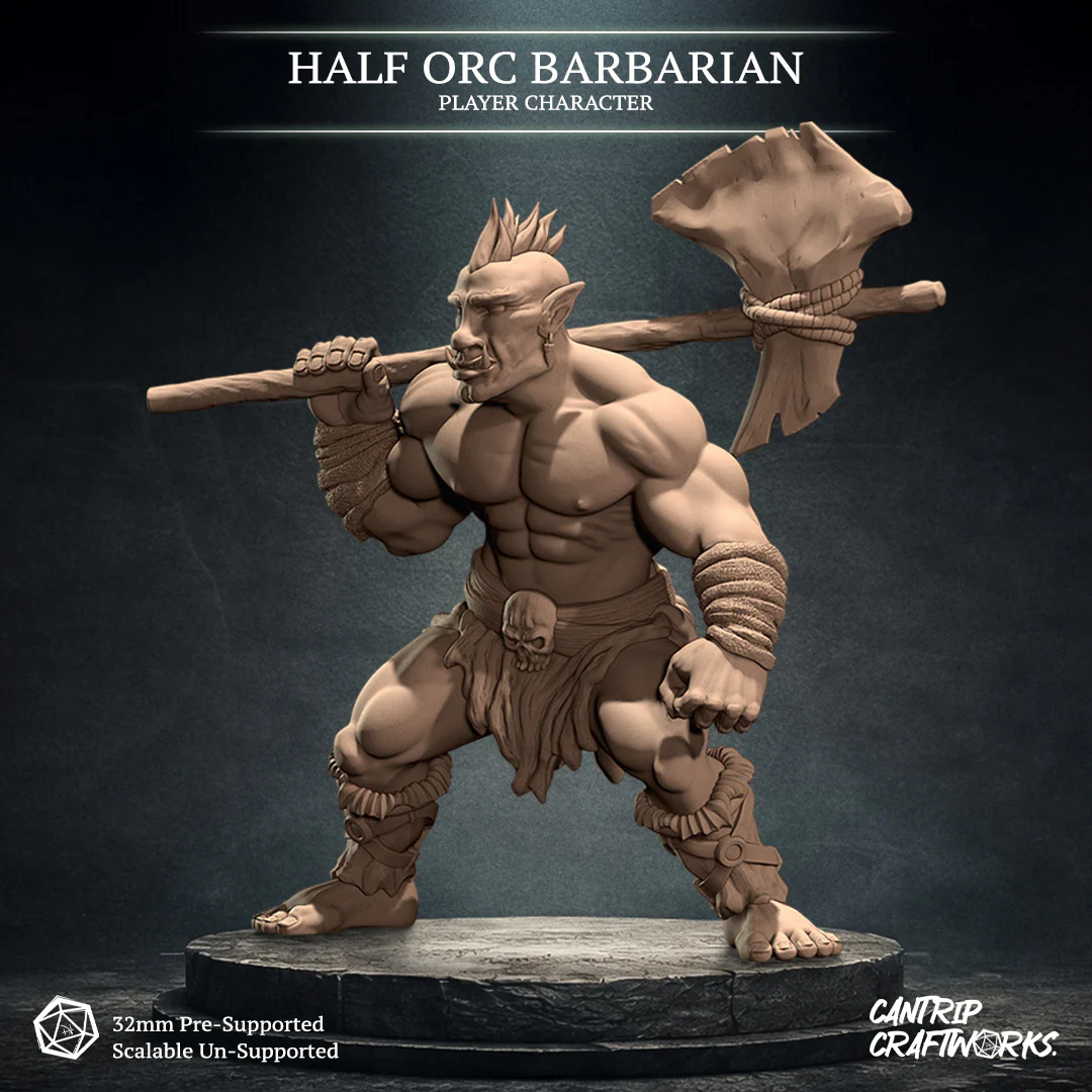 Half-Orc Barbarian - Image 3