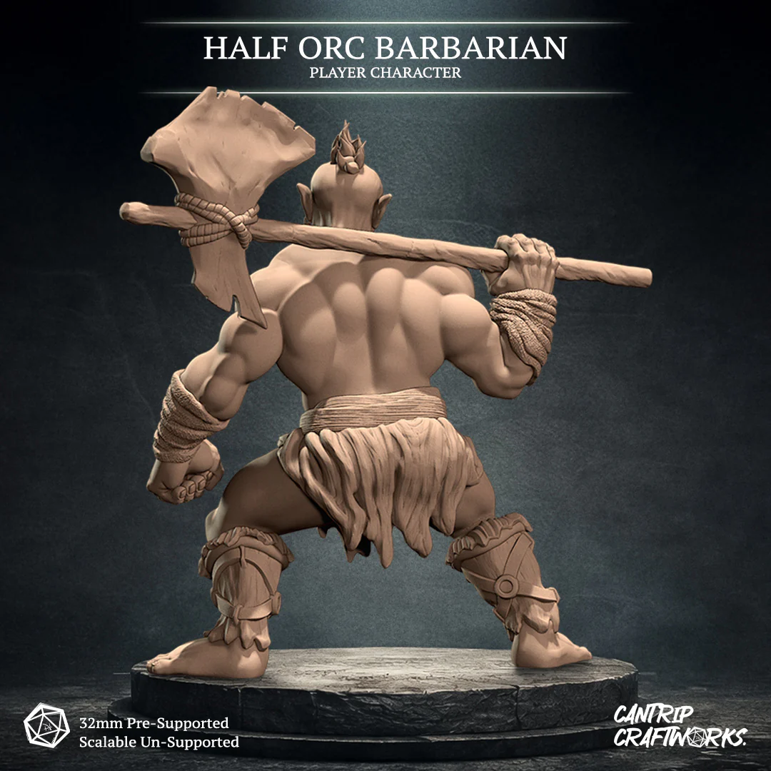 Half-Orc Barbarian - Image 4
