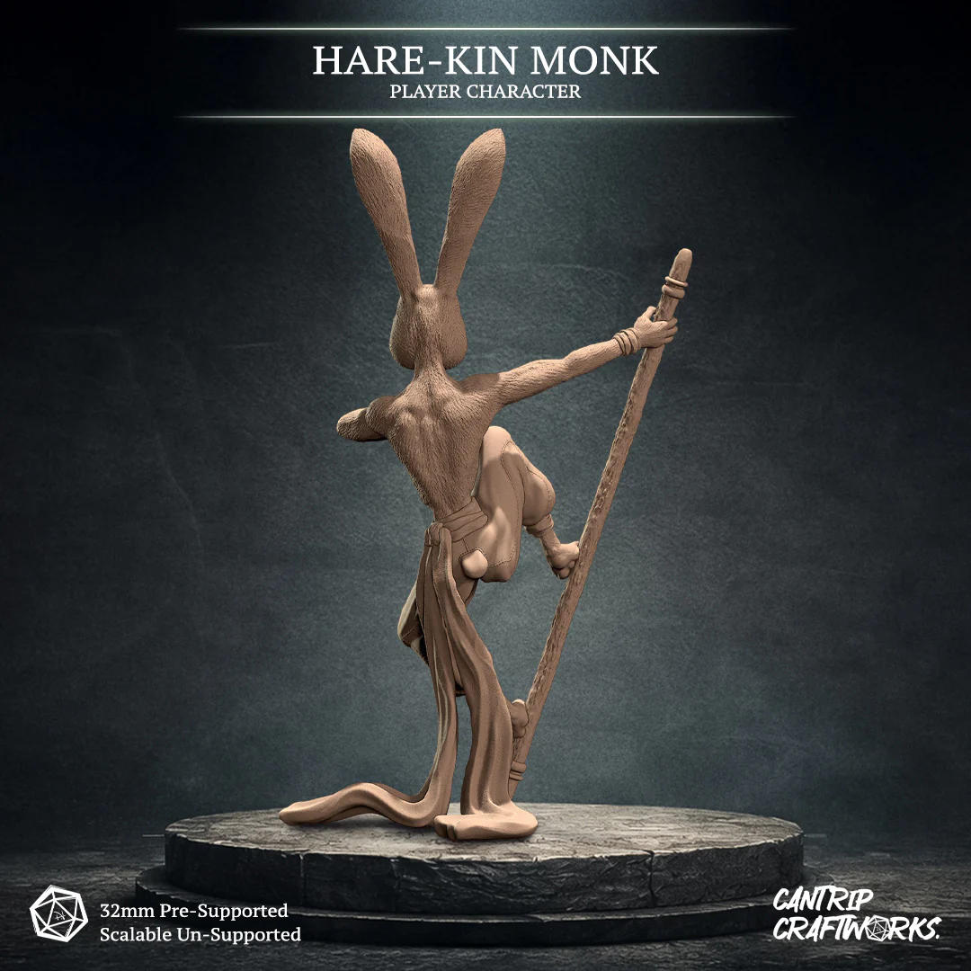 Hare-Kin Monk - Image 3