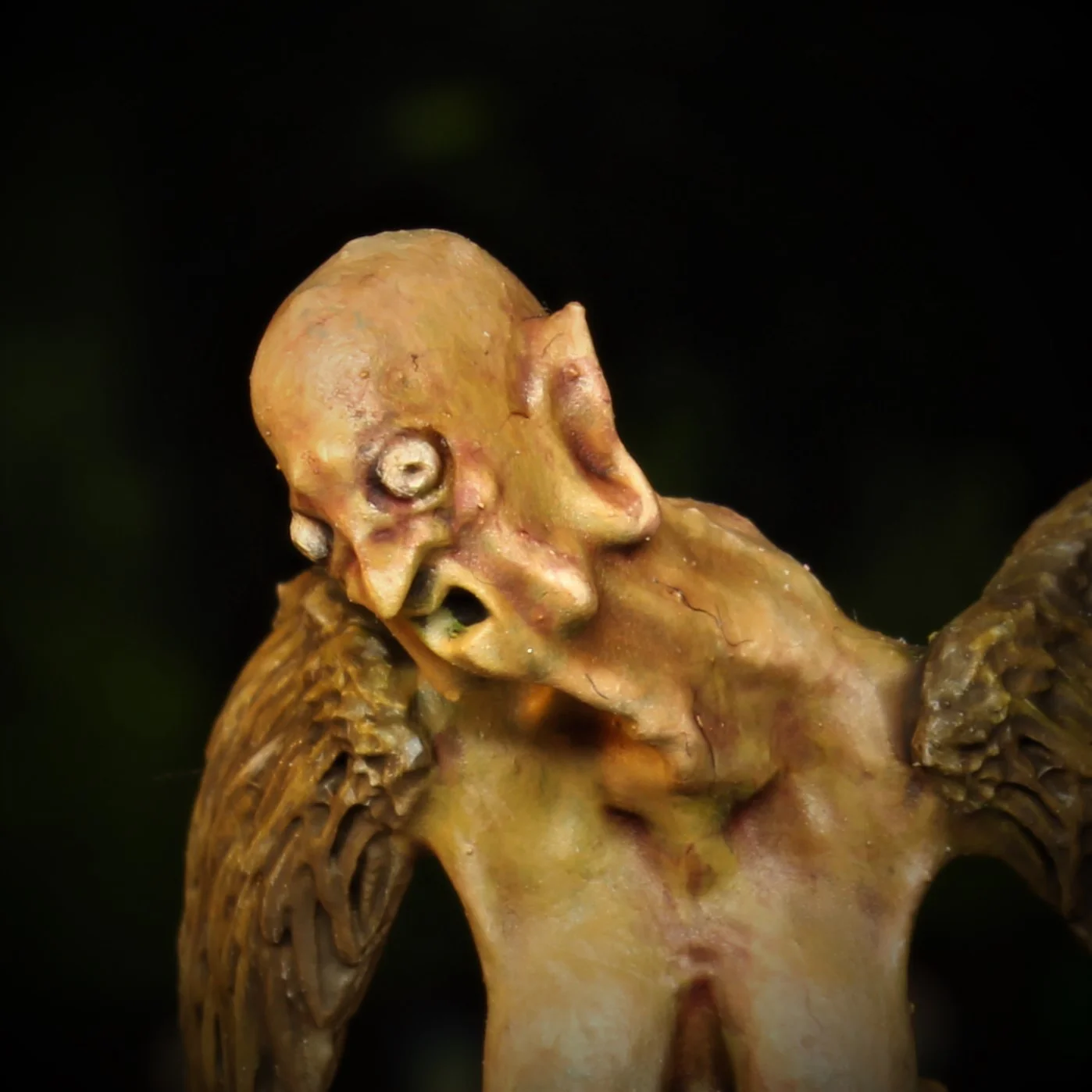 Harpy - Image 5