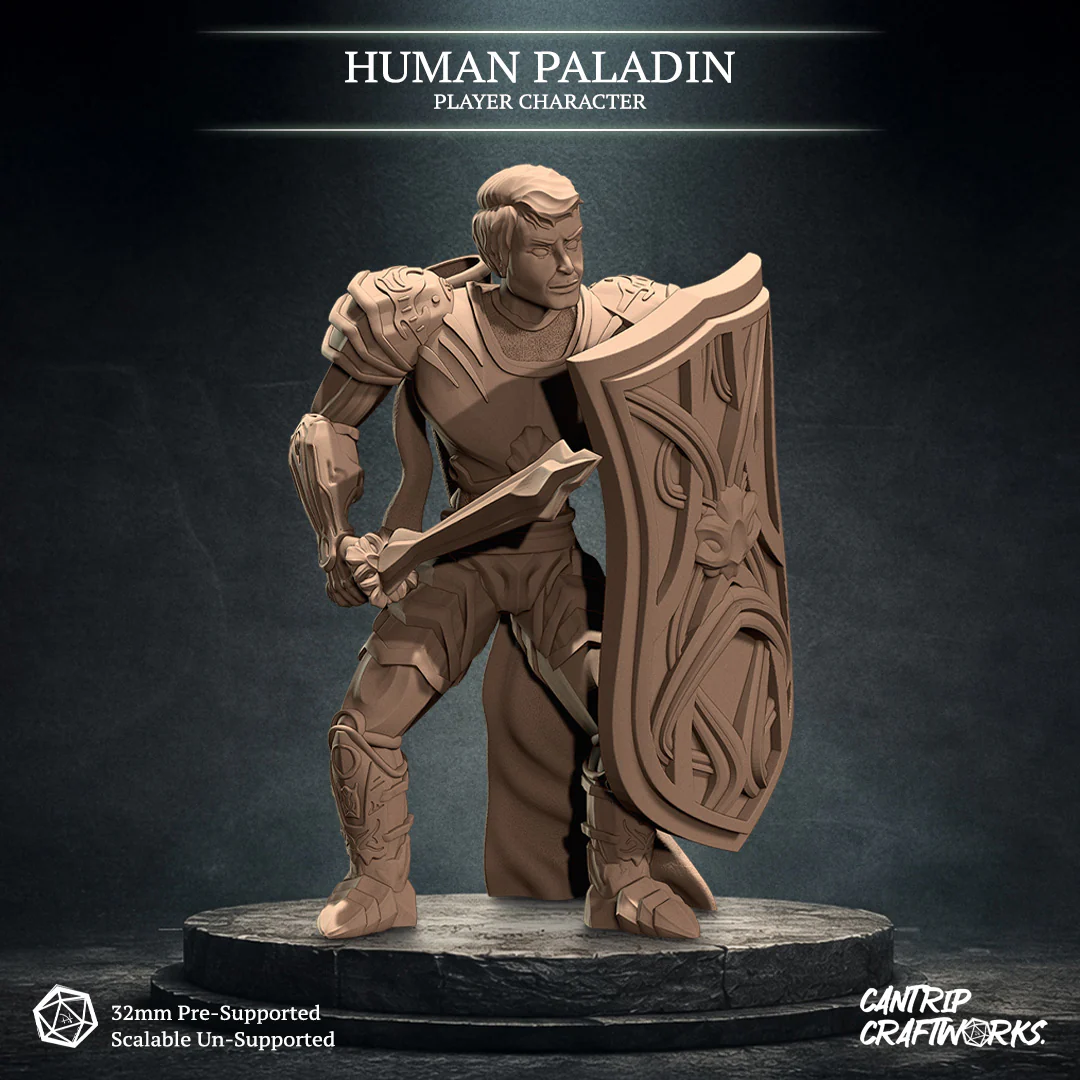 Human Paladin