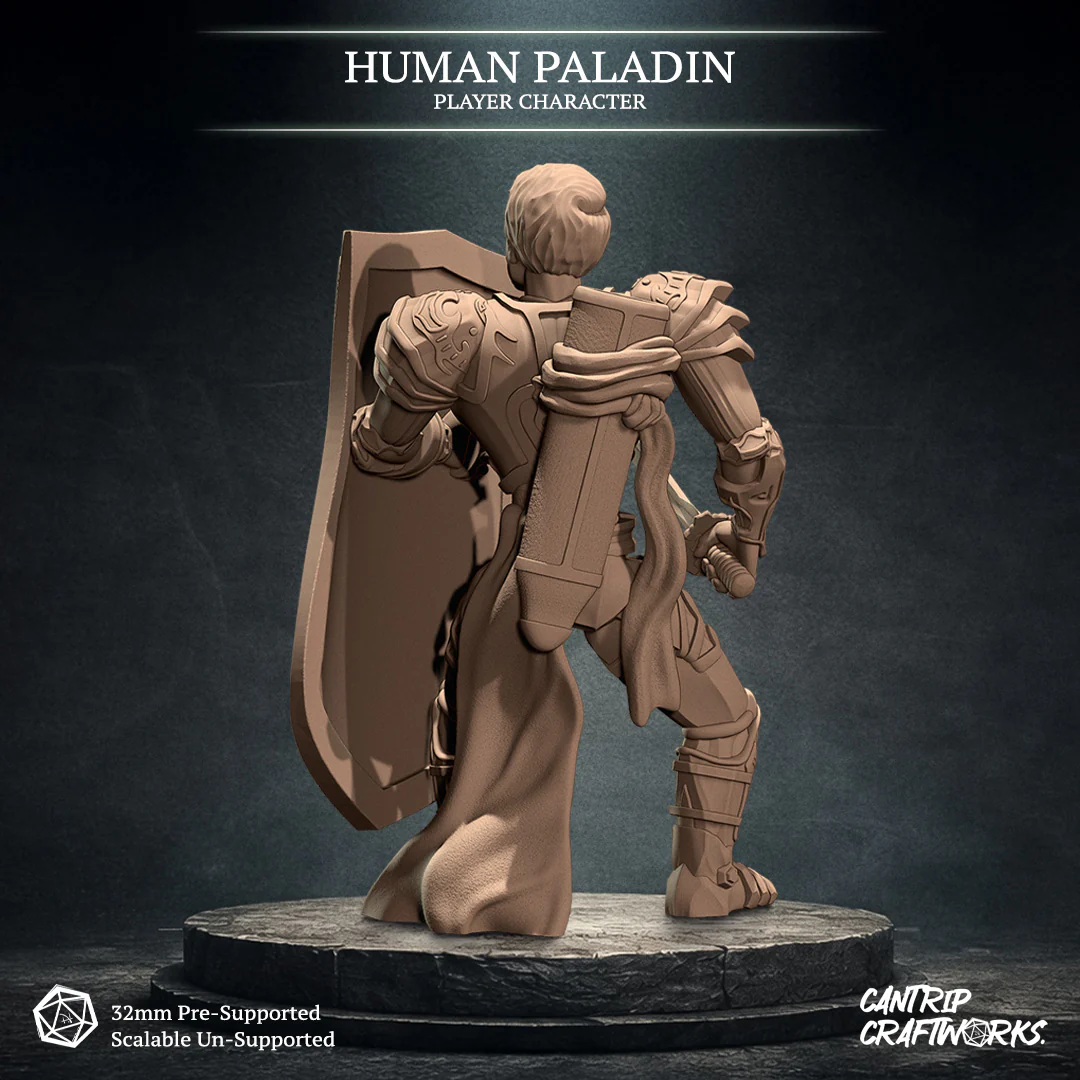Human Paladin - Image 2