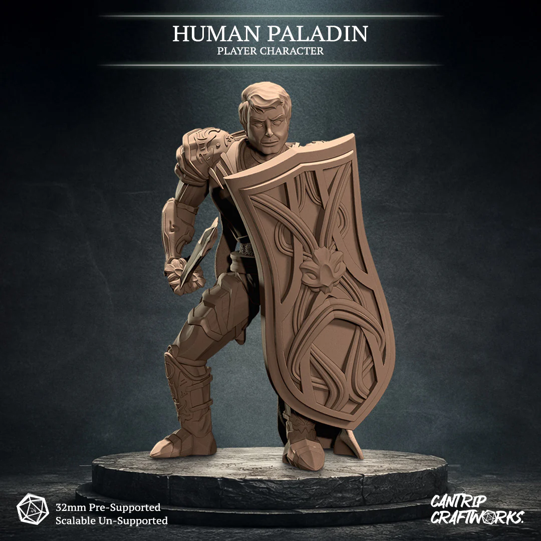 Human Paladin - Image 3