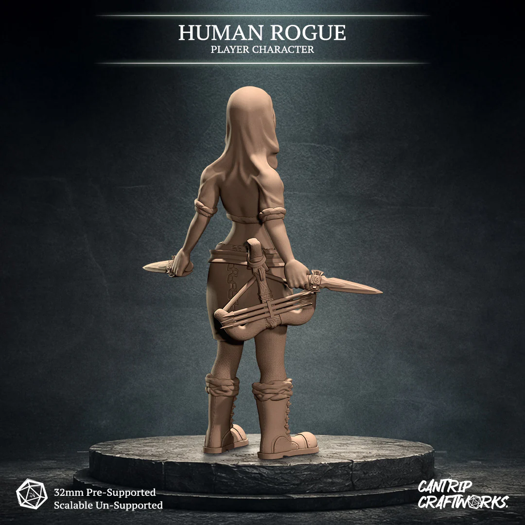 Human Rogue - Image 2
