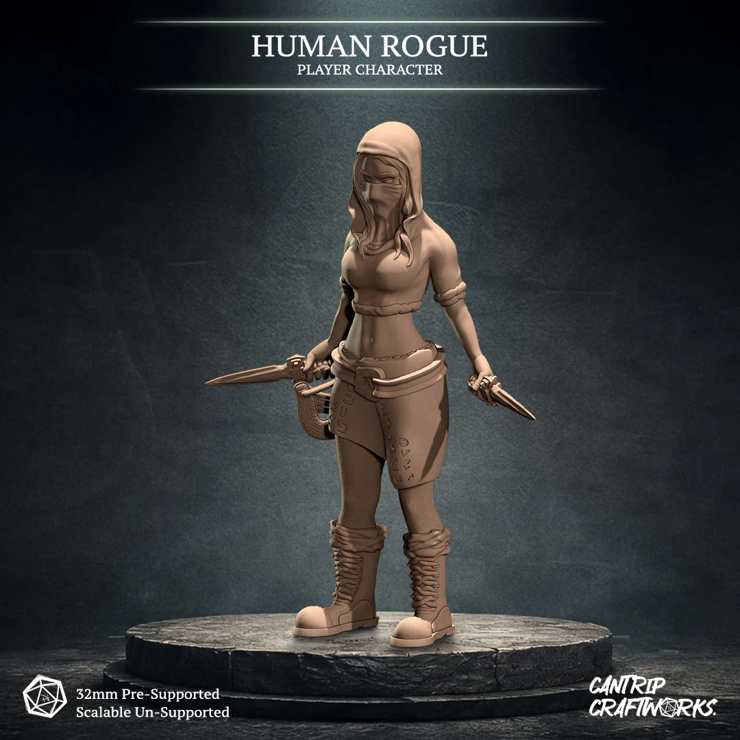 Human Rogue - Image 3