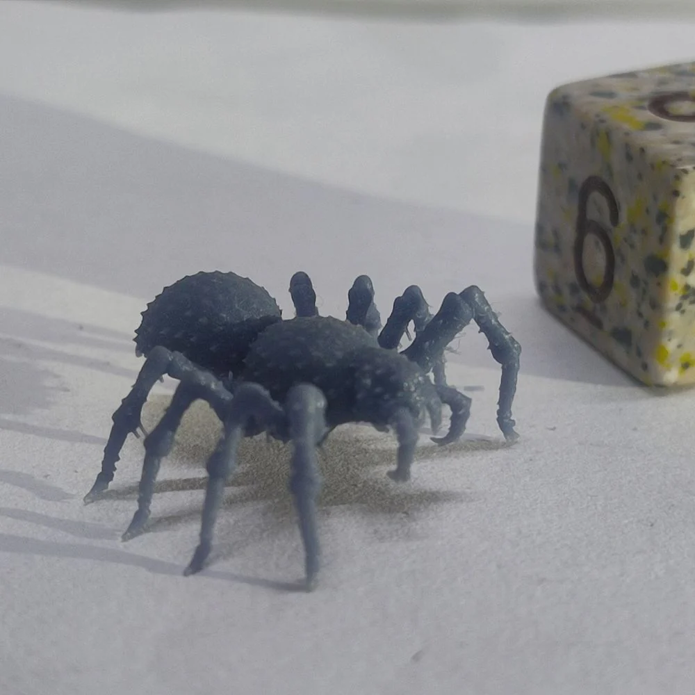 Hunting Spider - Image 2