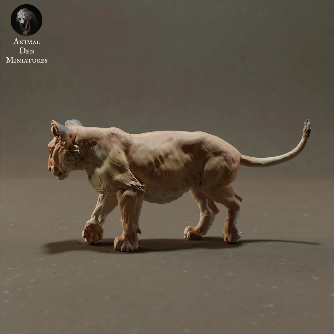 Lion Cub 1/43 - Image 2