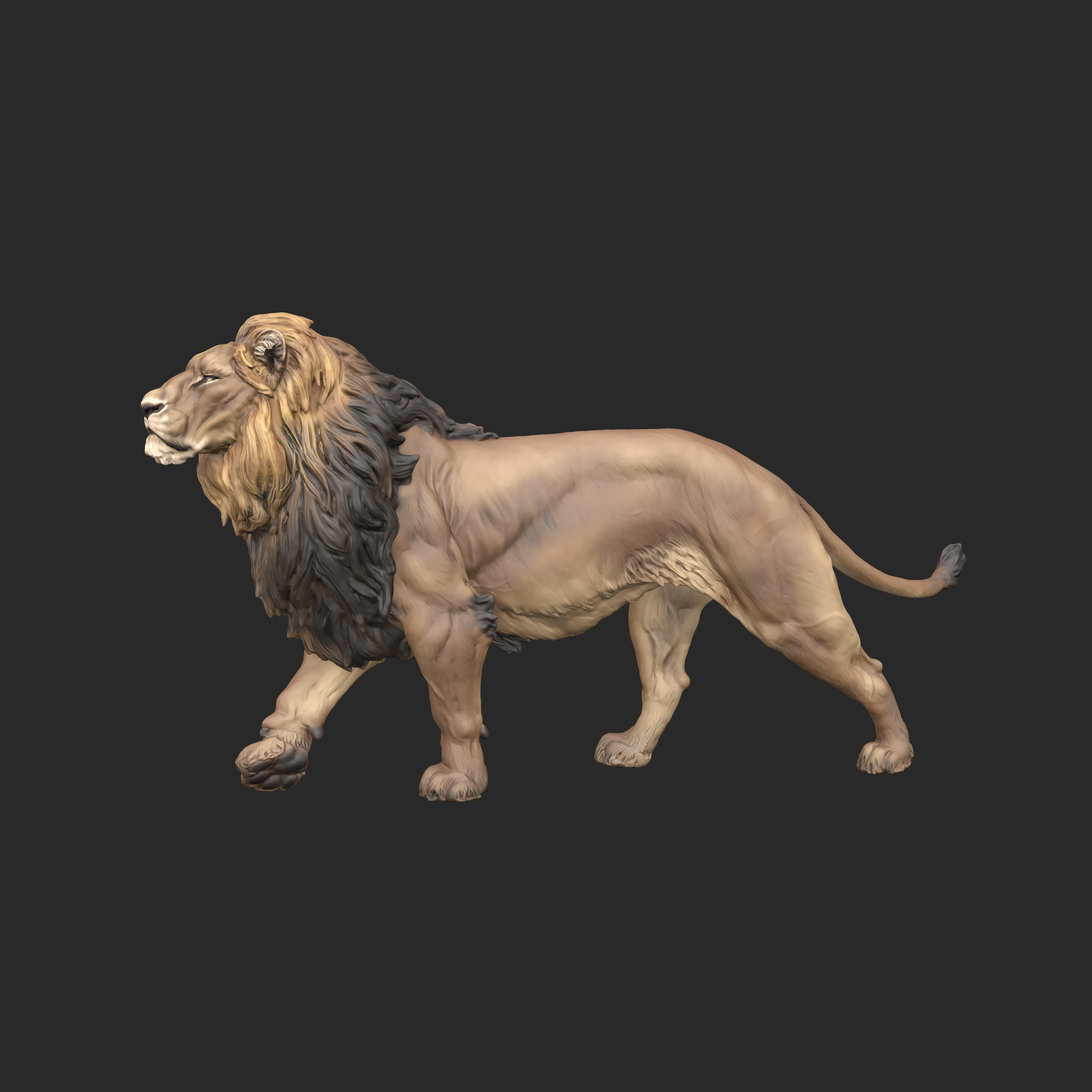 Lion Pre-Colored 1/24 - Image 3