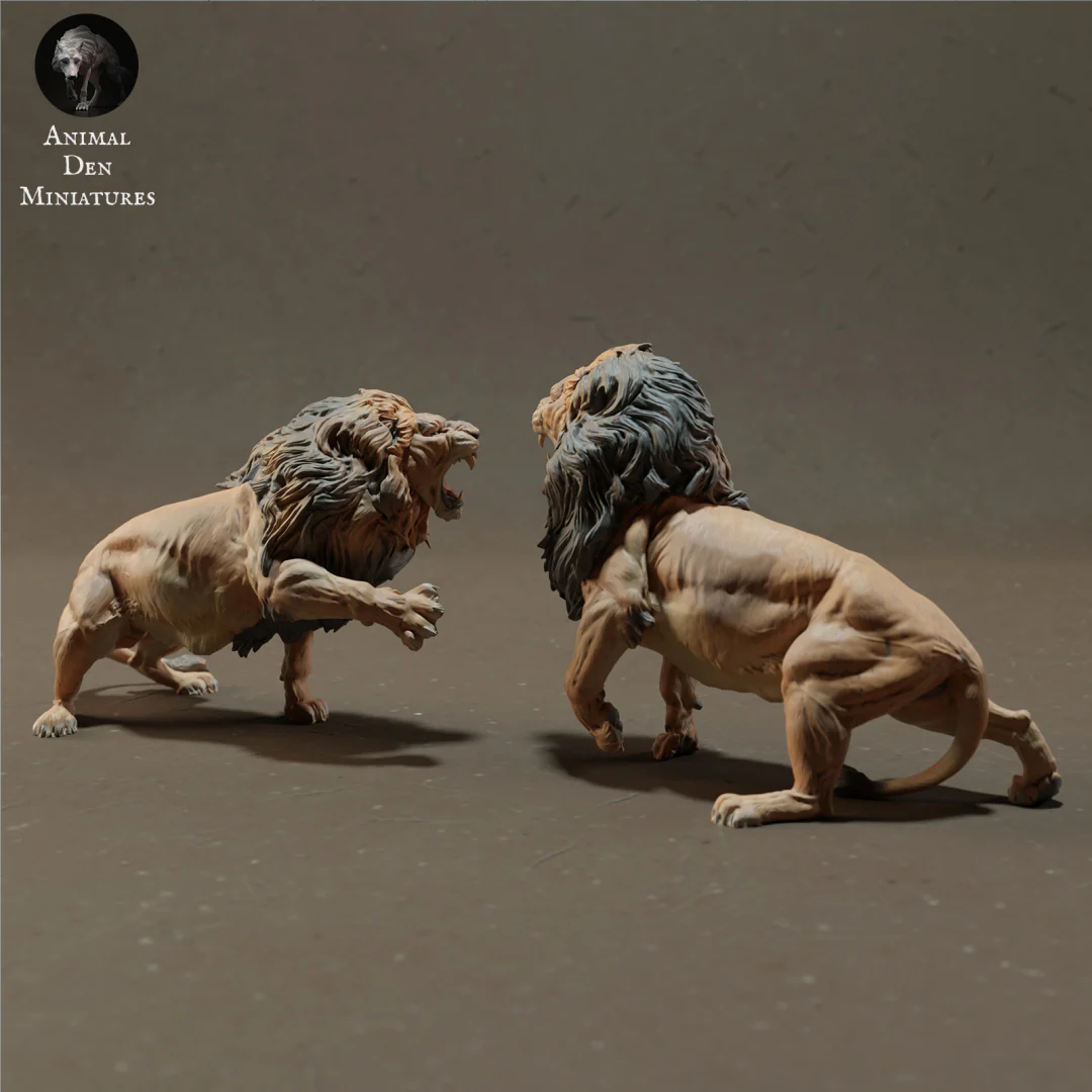 Lions Fighting 1/43 - Image 4