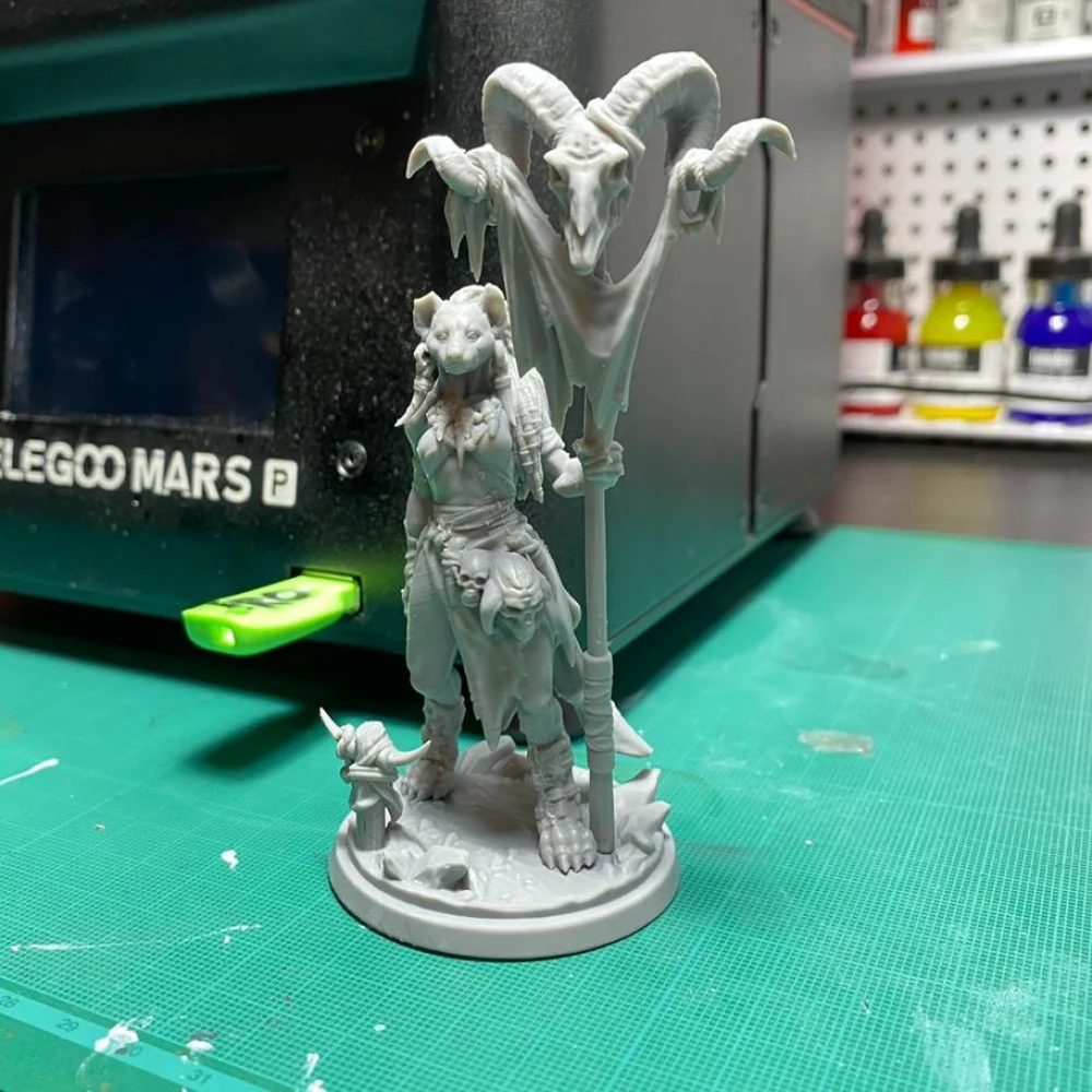 Meirsoa Gnoll Matriarch - Image 4