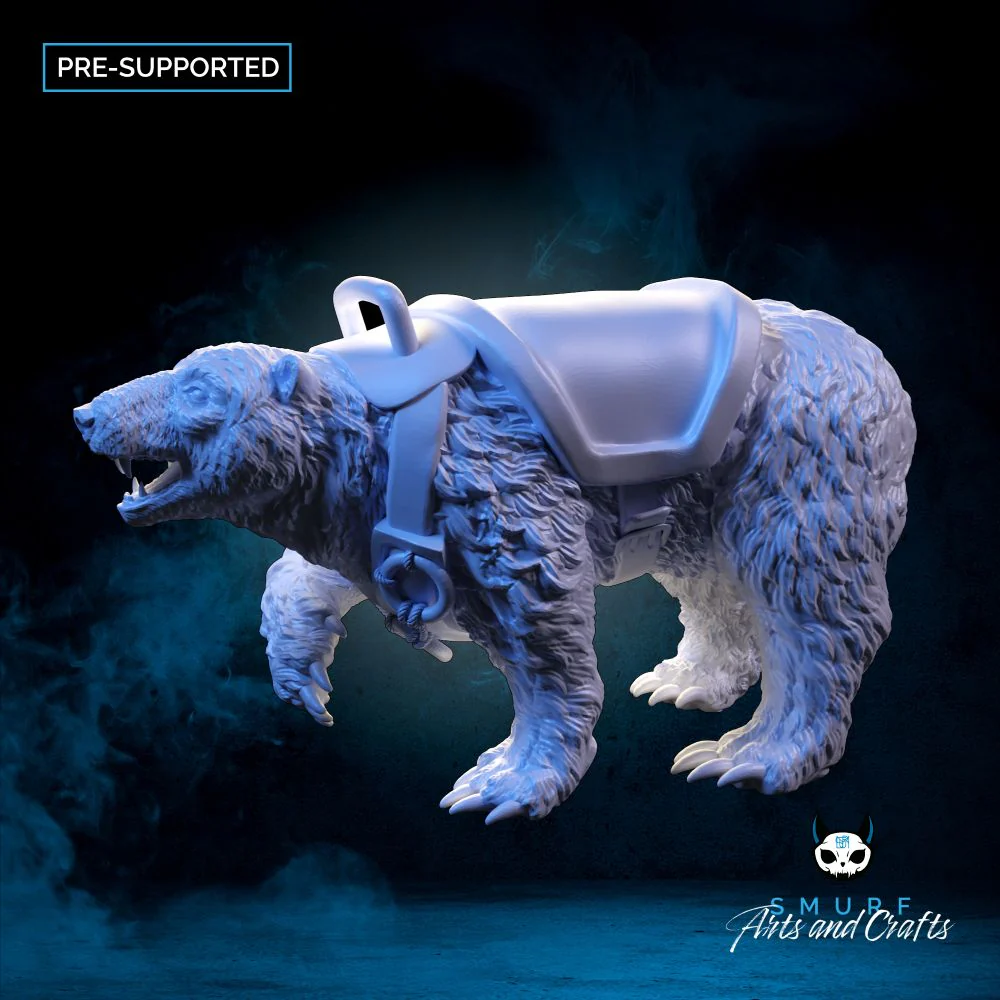 Polar Bear - A - Image 2