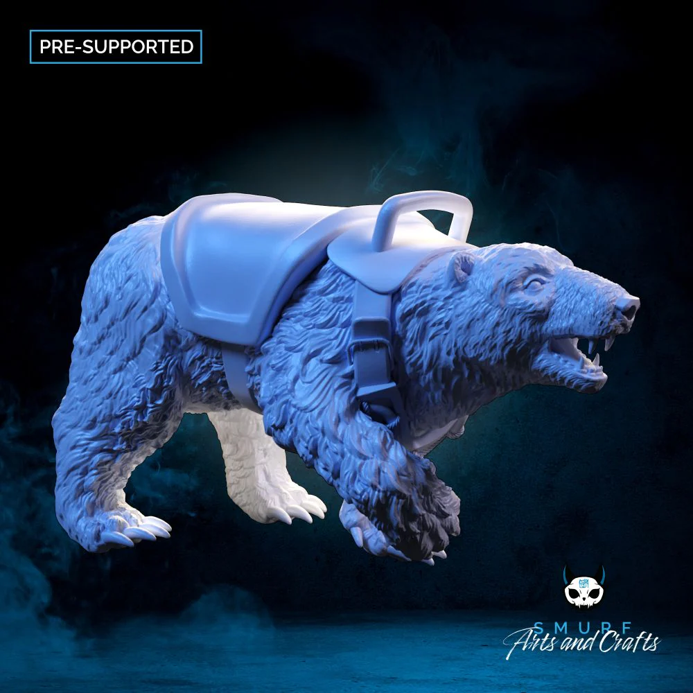 Polar Bear - A - Image 7