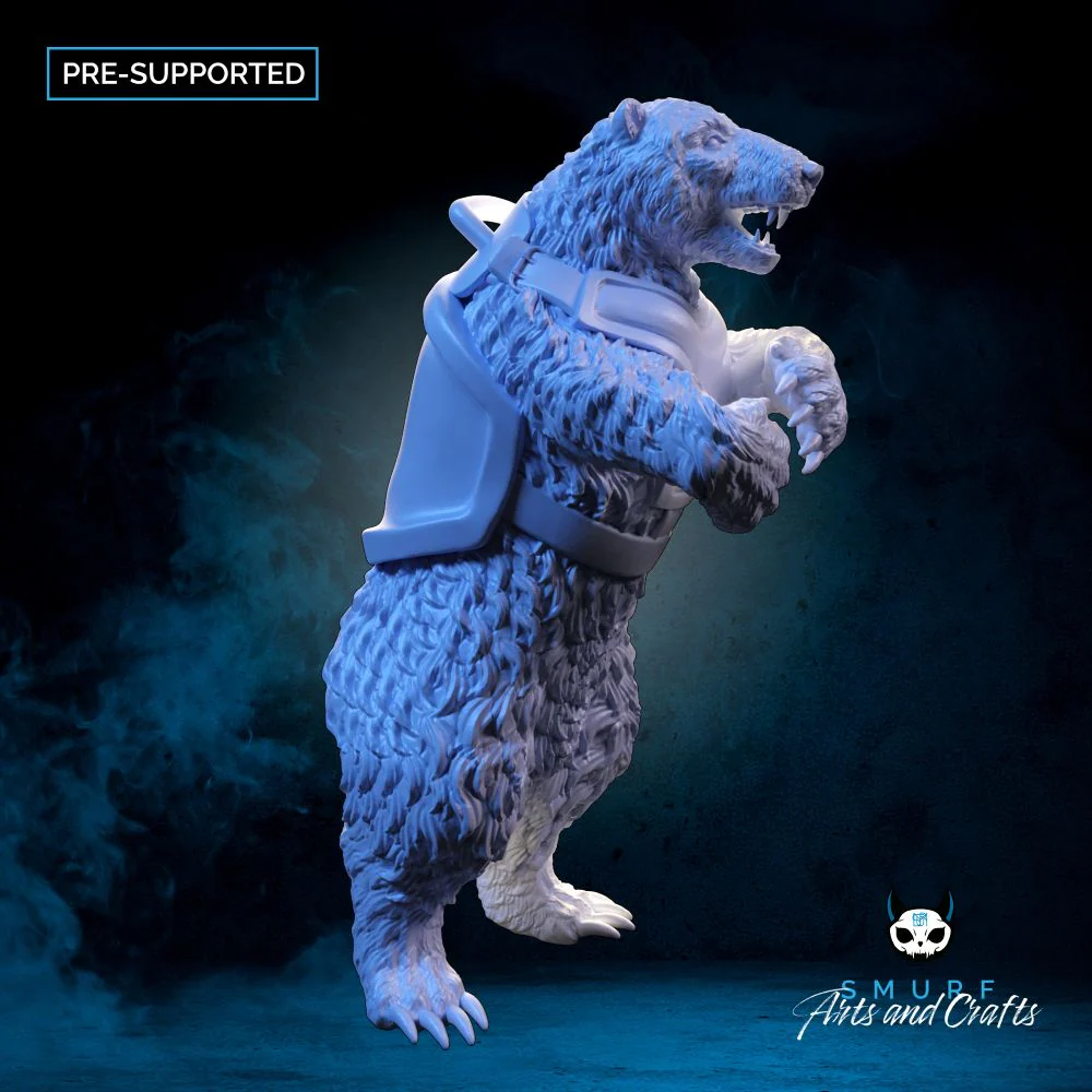Polar Bear - B - Image 2