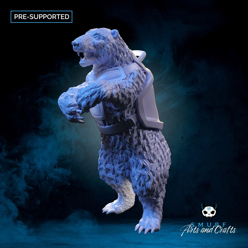 Polar Bear - B - Image 7