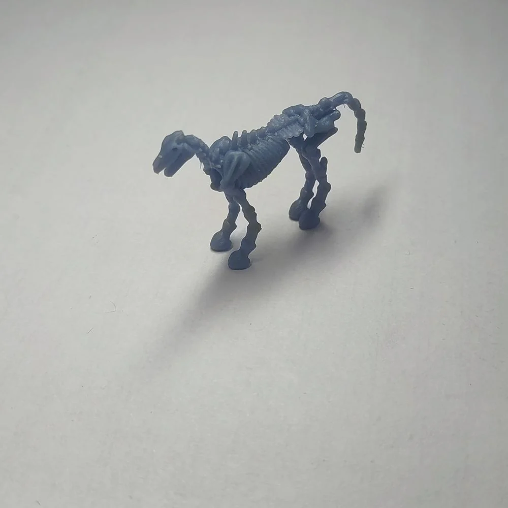 Skeletal Horse - Image 3