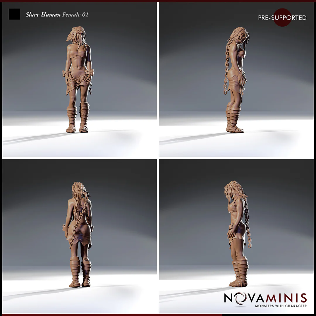 Slave Human Female 01 - Image 2