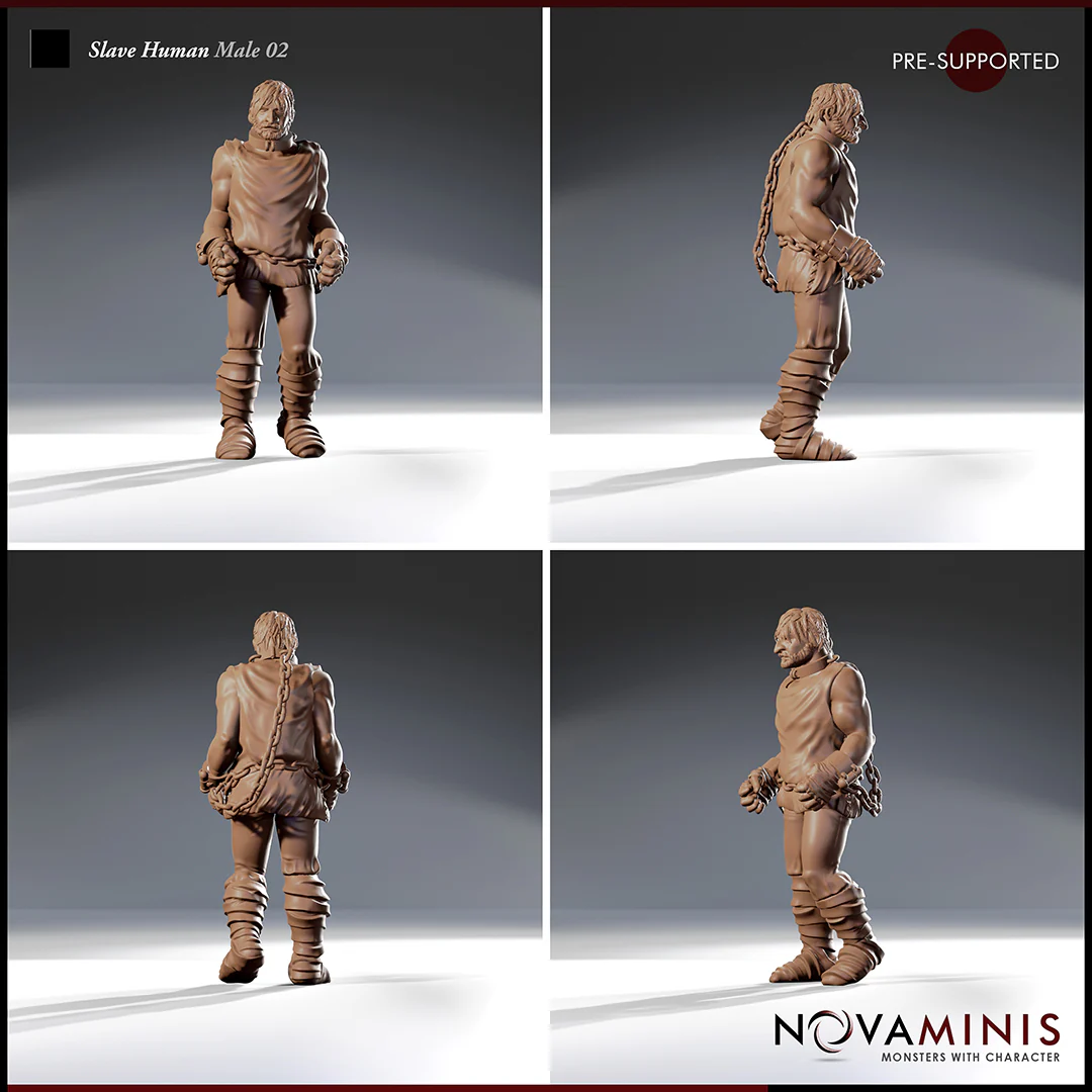 Slave Human Male 02 - Image 2