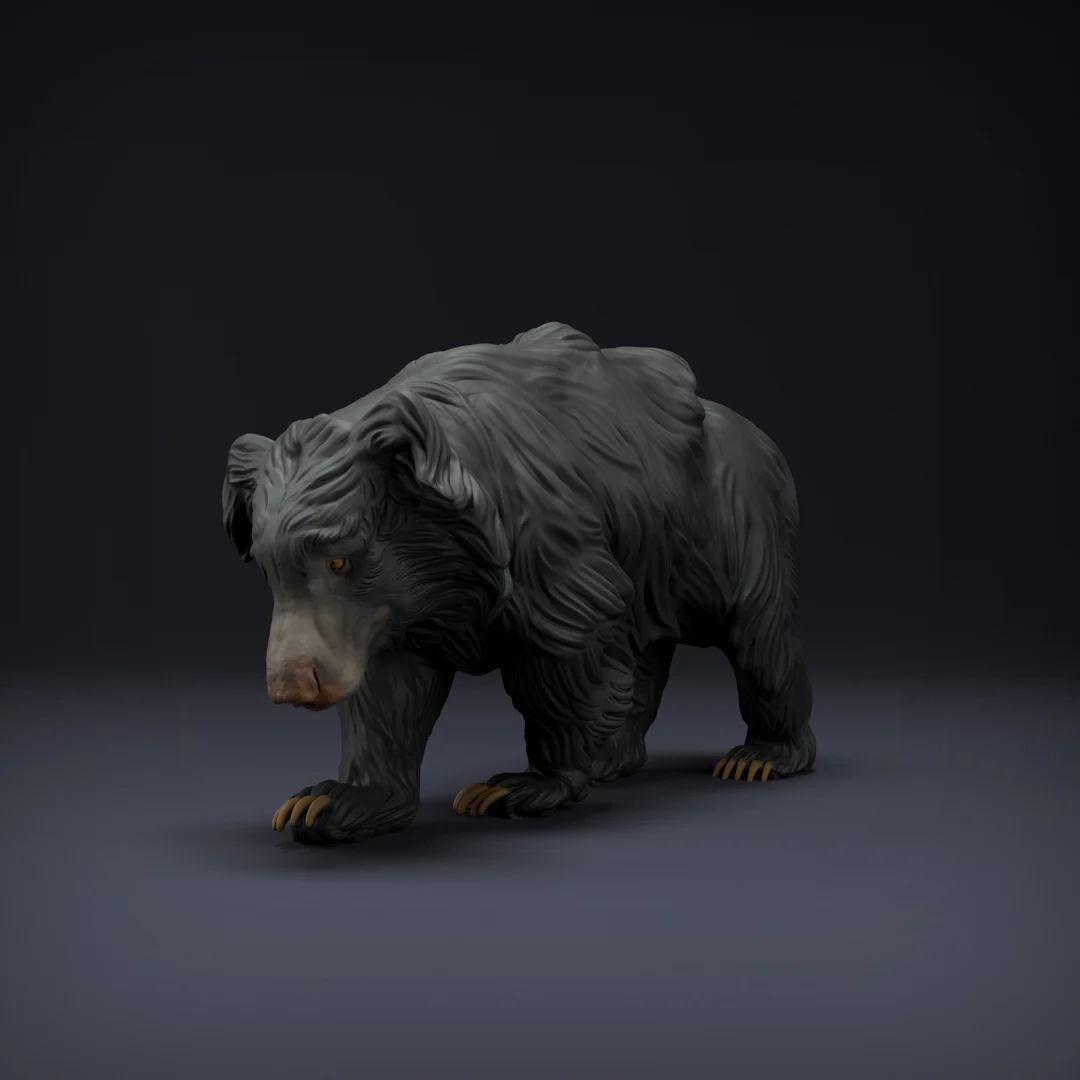 Sloth Bear 1/43 - Image 2