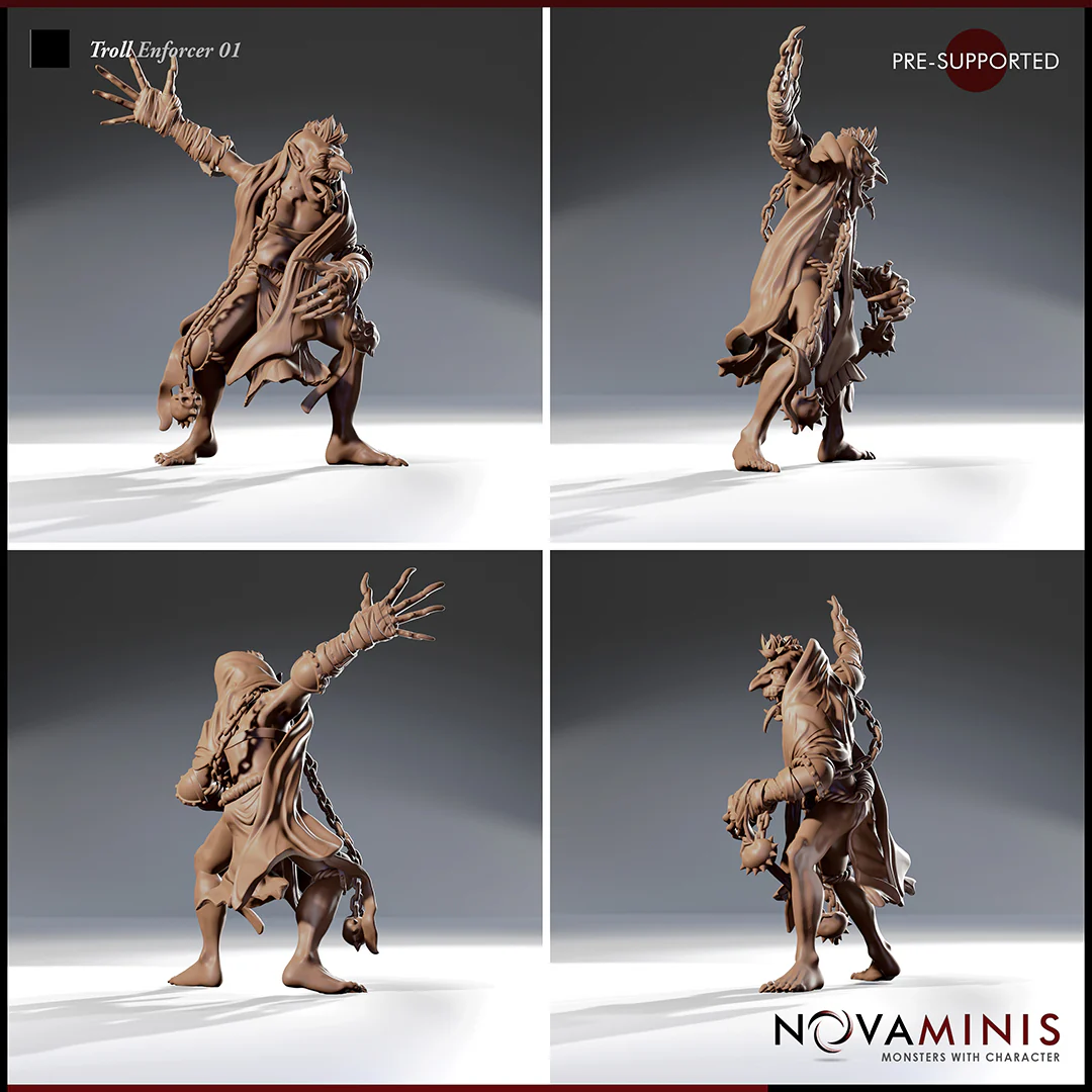 Troll Enforcer 01 - Image 2