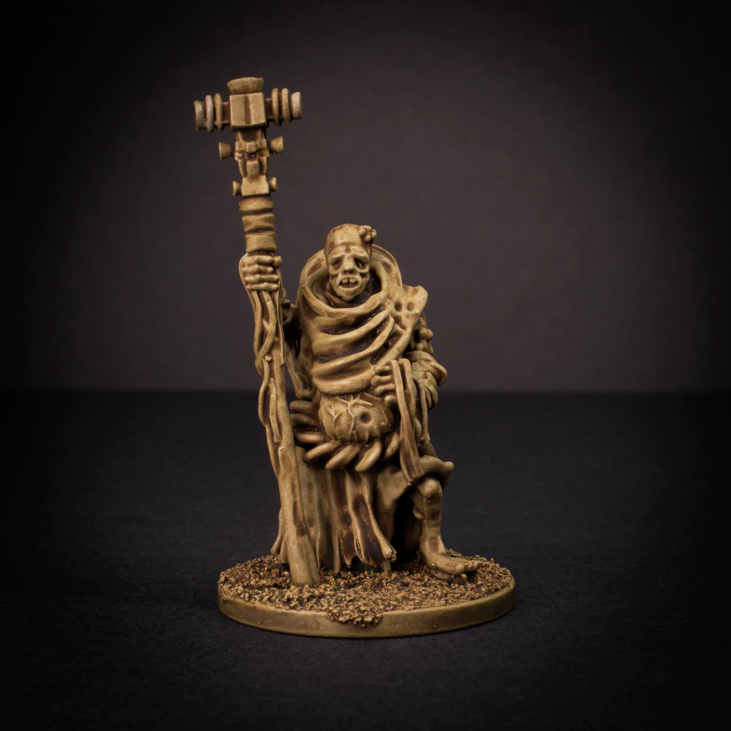 Vastarian - Priest 1 - Image 2