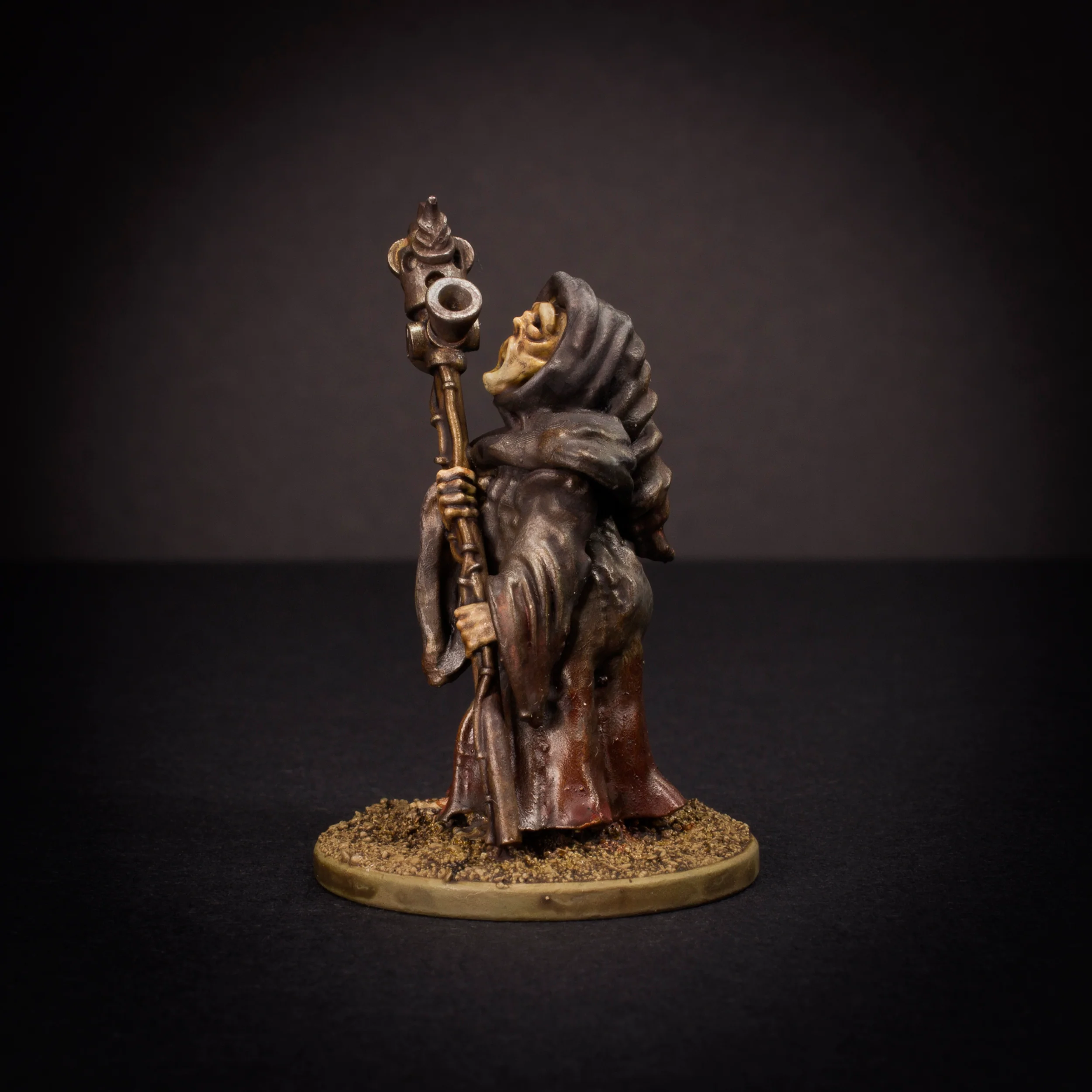 Vastarian - Priest 2 - Image 6