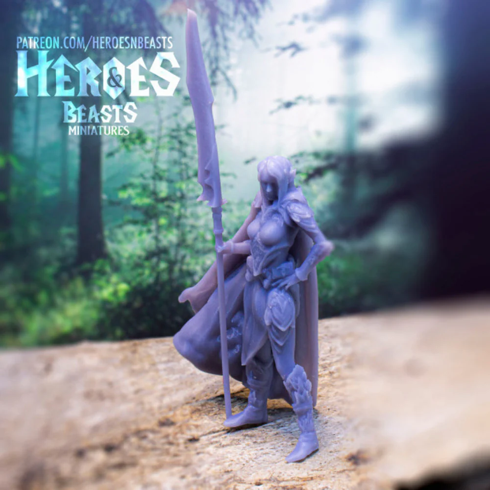 Wood Elf ( female glaive guard ) - Image 2
